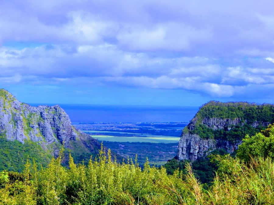 Mauritius: Guided Tamarind Falls Hike with Hotel Transfers - The first forest paths and river scenery