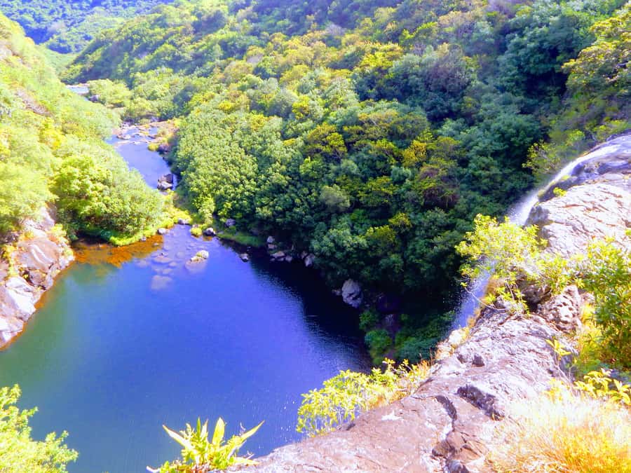 Mauritius: Guided Tamarind Falls Hike with Hotel Transfers - The early pickup and ride to the trail