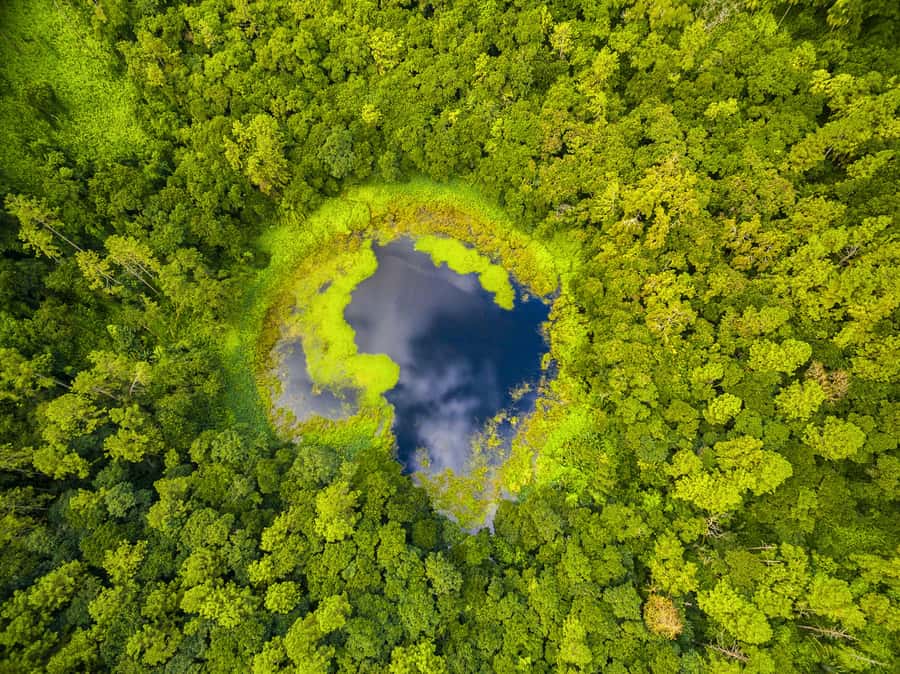 Mauritius: Guided Trip to the Southwest with Safari Tour - Ganga Talao, Shiva worship, and a 33-meter statue