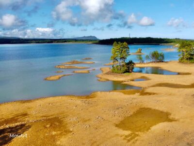 Guided Trip to the Southwest with Safari Tour