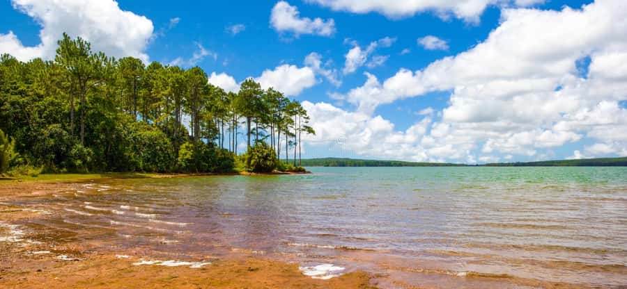 Mauritius: Guided Trip to the Southwest with Safari Tour - Who should book this Mauritius day tour?
