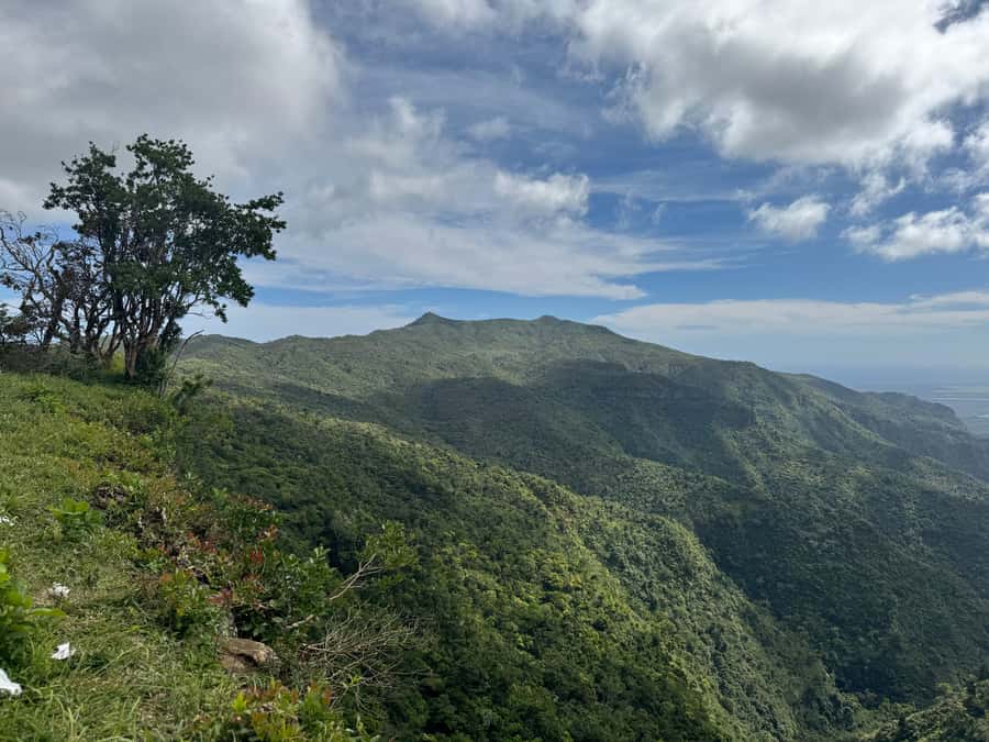 Mauritius: Highlights tour with tasting & sunset in South - Key Points About This Southern Mauritius Tour