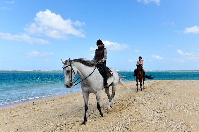 Mauritius Horse Riding at Riambel - Getting comfortable with the horses and equipment