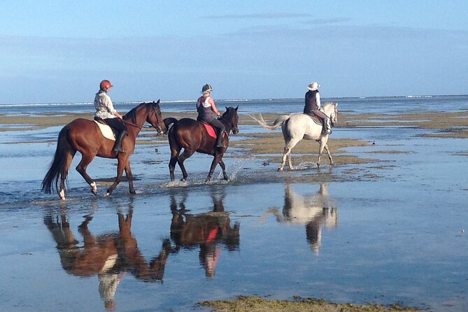 Mauritius Horse Riding at Riambel - What the 4.6 rating tells you about value