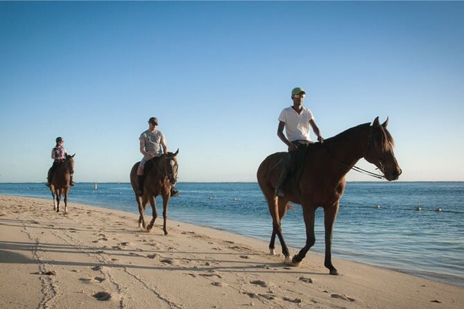 Mauritius Horse Riding at Riambel - Who will enjoy this Riambel experience most?