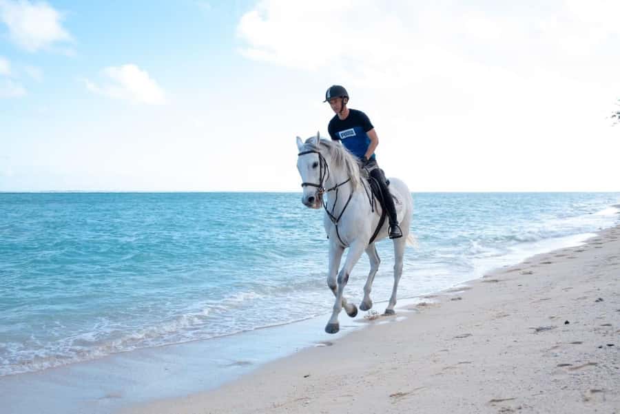 Mauritius: Horse riding on the deserted beach of Riambel - Quick Points About the Riambel Ride