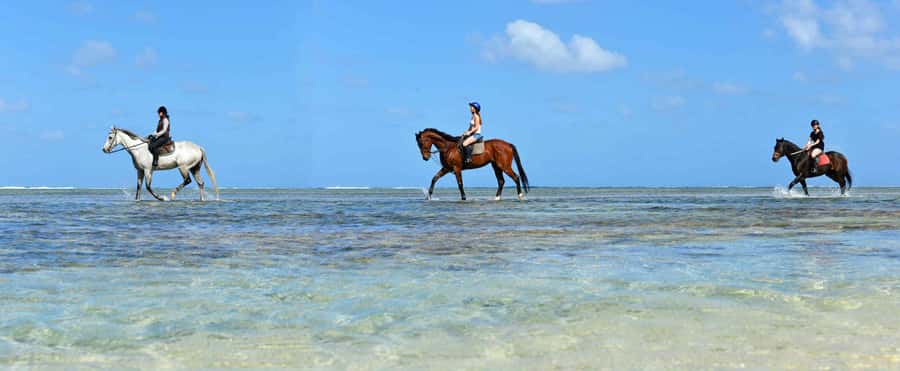 Mauritius: Horse riding on the deserted beach of Riambel - Entering the Ocean With Your Horse