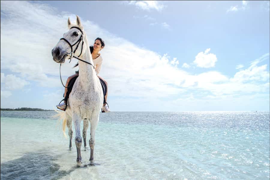 Mauritius: Horseback riding on the beach - Key points to know before booking