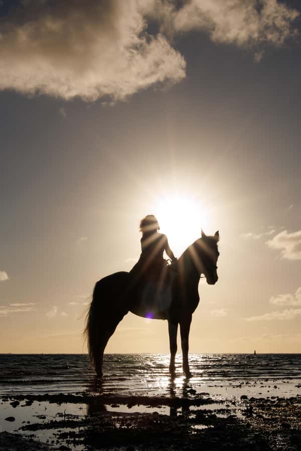 Mauritius: Horseback riding on the beach - Is $110 a fair price?