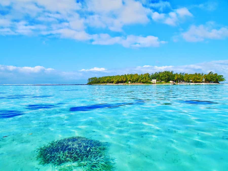 Mauritius: Ile aux Aigrettes Nature Reserve with Boat Ride - Blue Bay offers a useful first stop