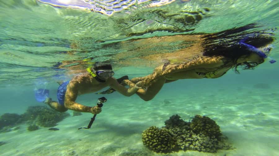 Mauritius: Ile aux Cerf Catamaran w/Waterfall Visit & Lunch - Starting at Trou d’Eau Douce at 8:30