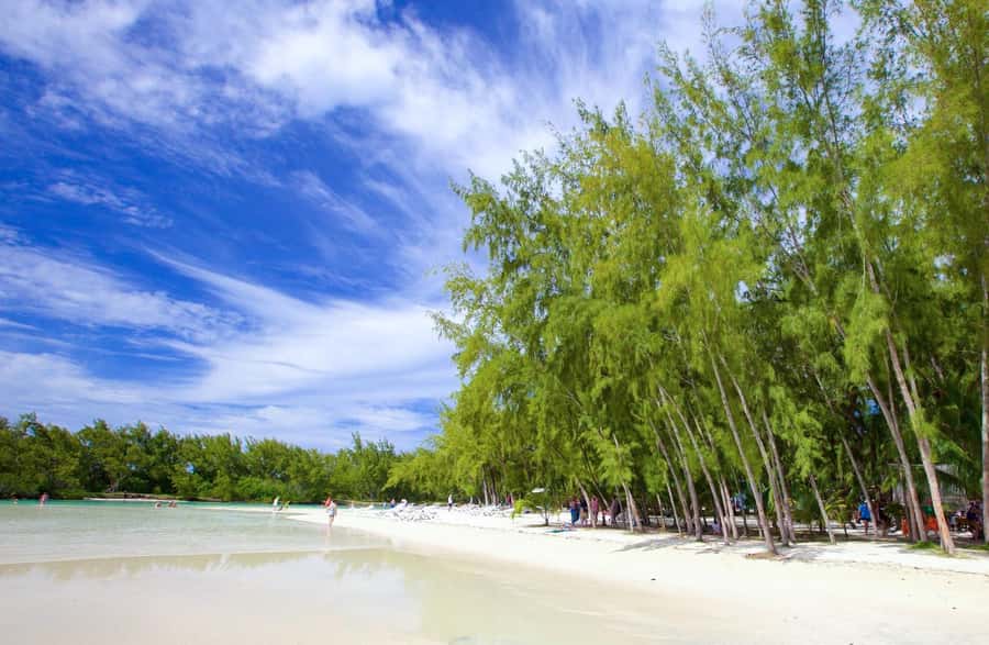 Mauritius: Ile aux Cerfs Boat Tour with BBQ Lunch and Drinks - Key points to know before booking