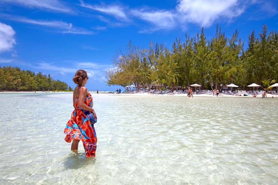 Mauritius: Ile aux Cerfs Boat Tour with BBQ Lunch and Drinks - Who will enjoy this outing most