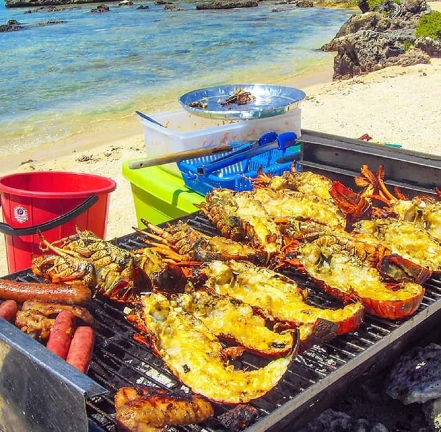 Mauritius: Ile Aux Cerfs Catamaran Cruise with Lunch - Swimming and snorkeling near Ile aux Cerfs
