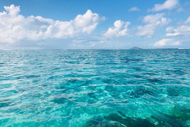 Mauritius: Ile Aux Cerfs Catamaran Tour with Lunch and Drinks - What makes this Mauritius boat day worthwhile