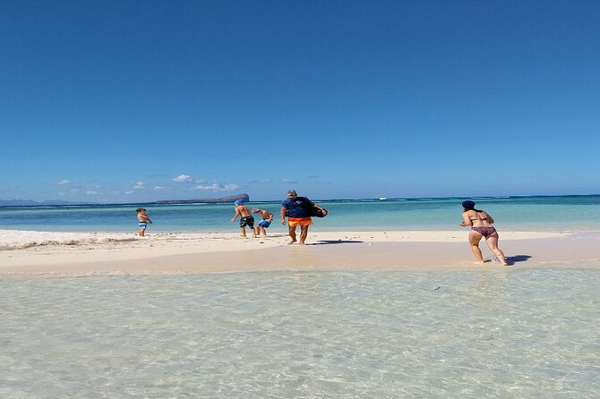 Mauritius: Ile Aux Cerfs Catamaran Tour with Lunch and Drinks - Grand River South East waterfall and river wildlife