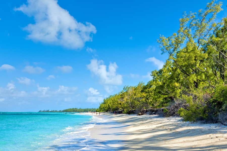 Mauritius: Ile Aux Cerfs Catamaran Trip w/ Lunch & Transfer - Five things worth knowing before you book