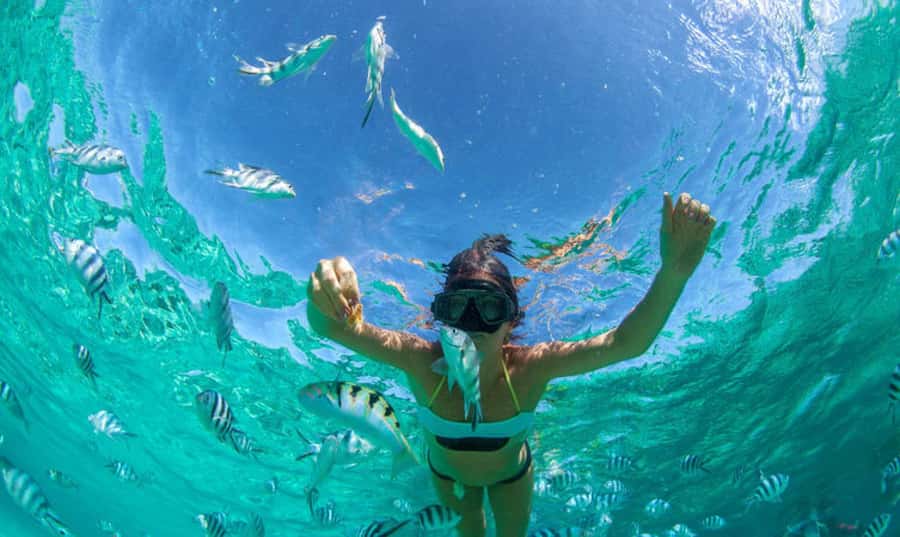 Mauritius: Ile Aux Cerfs Catamaran Trip w/ Lunch & Transfer - Snorkeling in the lagoon