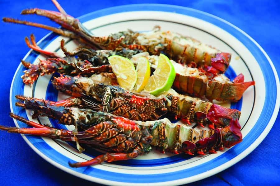 Mauritius: Ile Aux Cerfs Catamaran Trip w/ Lunch & Transfer - Settling onto the 42-foot catamaran