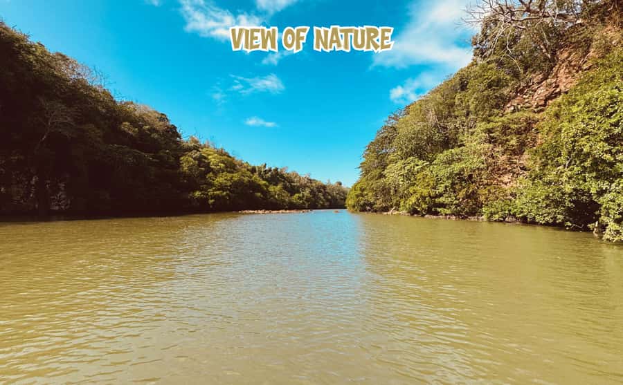 Mauritius: Ile aux Cerfs Speedboat Tour with Lunch & Drinks - Should You Book It?