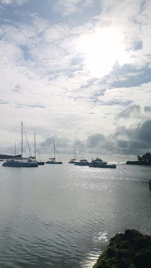 Mauritius: Ile aux cerfs, waterfalls and bbq Boat Day - Your first stop at Ile aux Cerfs