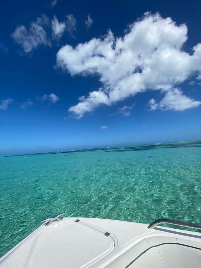 Mauritius Le Morne: Eco-Friendly Dolphin Watching Tour - Finding spinner dolphins in the open sea