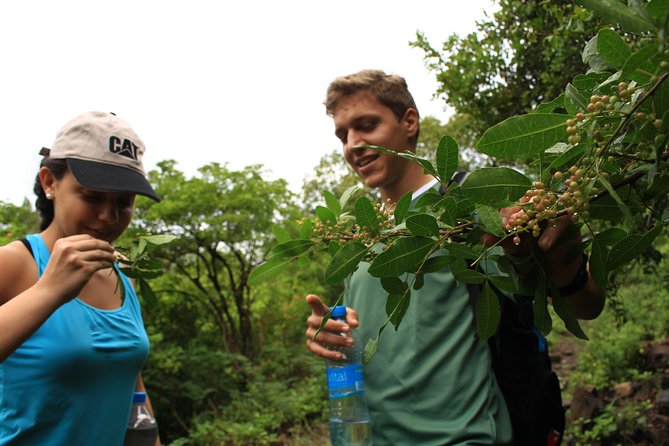 Mauritius Le Morne Hiking including transfer - Reaching the summit and the big reward