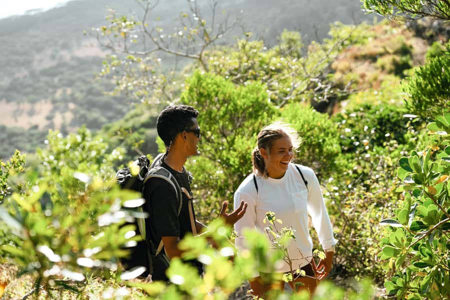 Mauritius: Le Morne Mountain Guided Sunrise Hike and Climb - Trochetia Boutoniona offers a well-timed pause