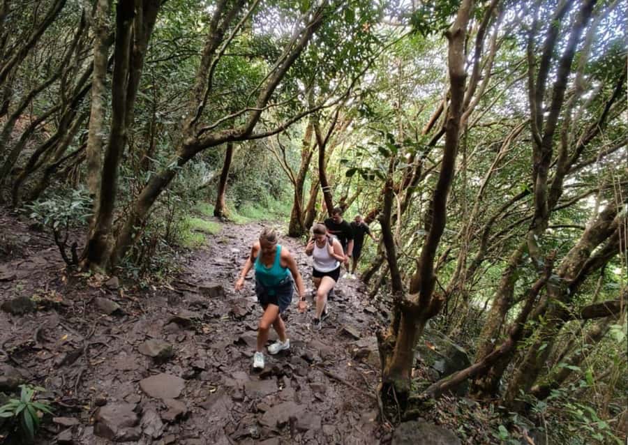 Mauritius: Le Pouce Guided Hiking Experience with a local - Starting in Moka village
