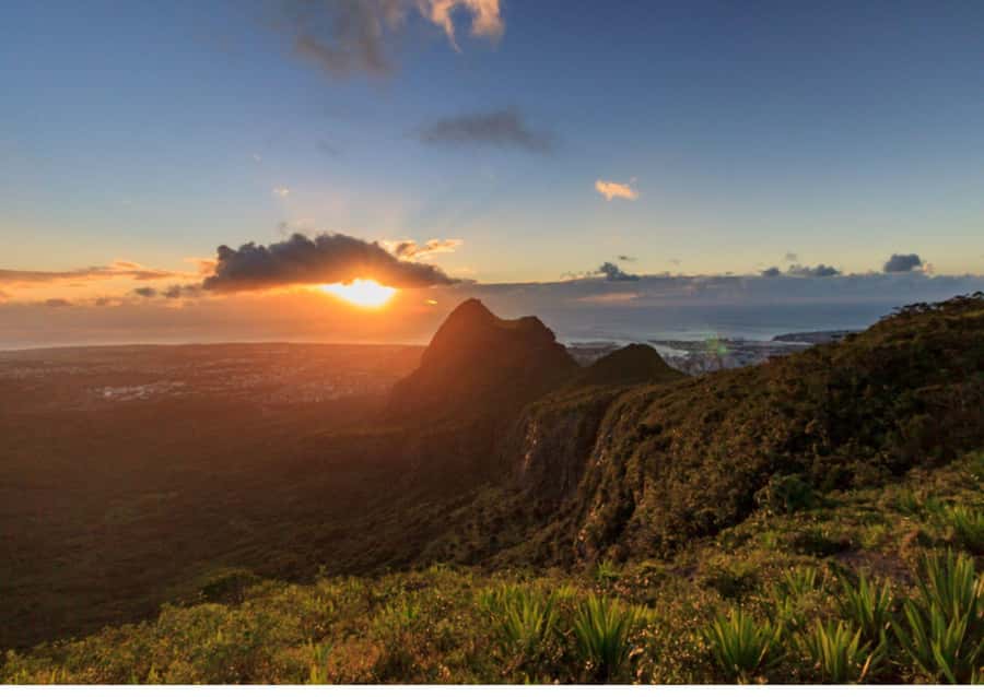 Mauritius: Le Pouce Guided Hiking Experience with a local - Who should book this walk