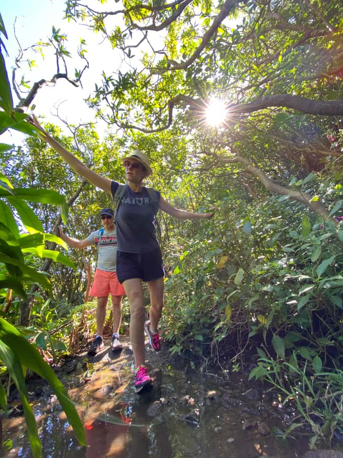 Mauritius Natirel : 7 cascades valley waterfall discovery - Tee’s guiding style adds real value
