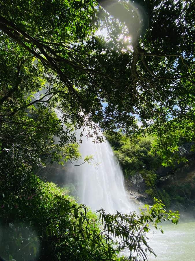 Mauritius Natirel : 7 cascades valley waterfall discovery - Who should book this hike?