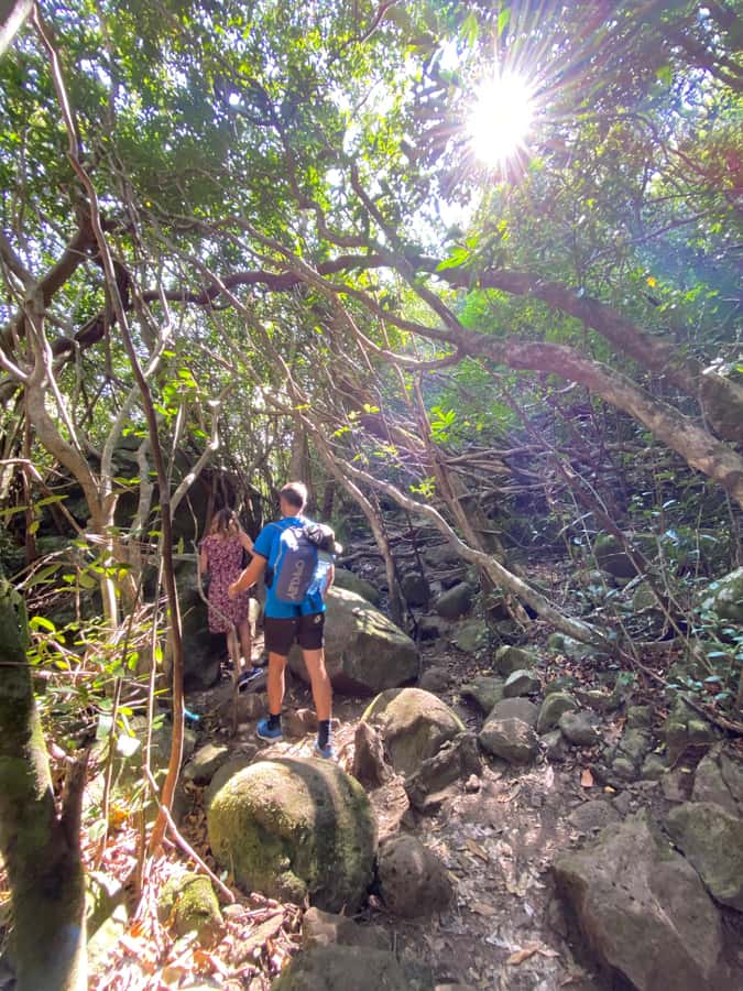 Mauritius Natirel : 7 cascades valley waterfall discovery - Cancellation, timing, and group choices
