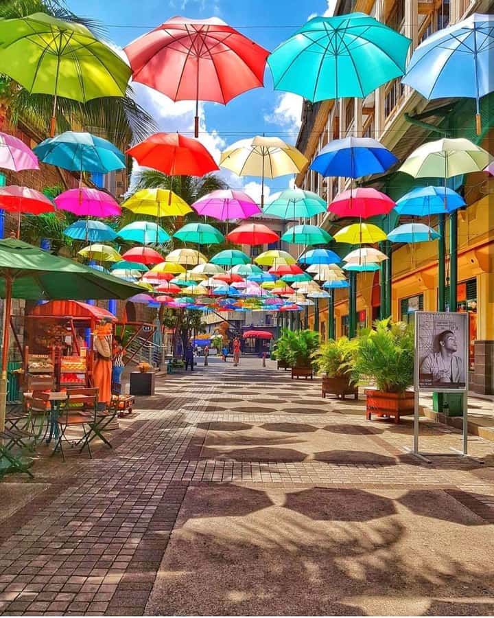 Mauritius North: Private Paradise Tour with Gardens, Markets - Why this private northern Mauritius day works