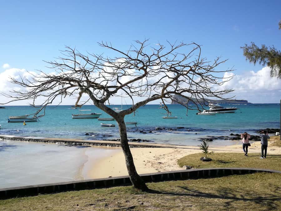 Mauritius North: Private Paradise Tour with Gardens, Markets - Cap Malheureux and the red-roofed church