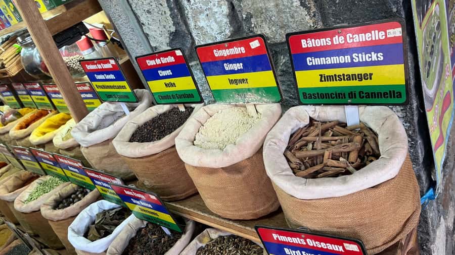 Mauritius: Northern Tour w/Port Louis Market, Temple & Beach - Why this private northern tour works