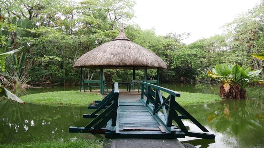 Mauritius: Northern Tour w/Port Louis Market, Temple & Beach - Grand Baie adds shops and resort energy
