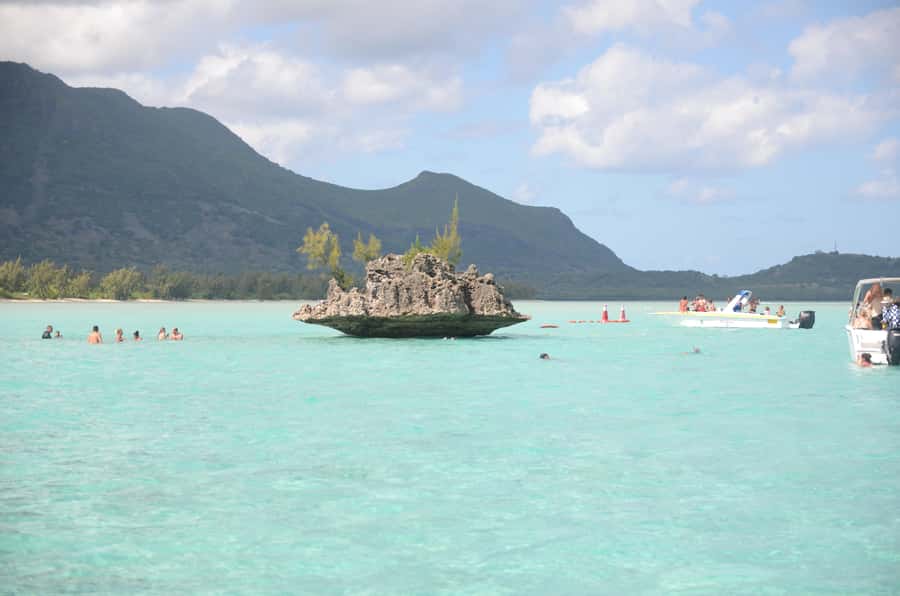 Mauritius: Ocean Swim with Dolphins - An early start at Martello Tower Museum