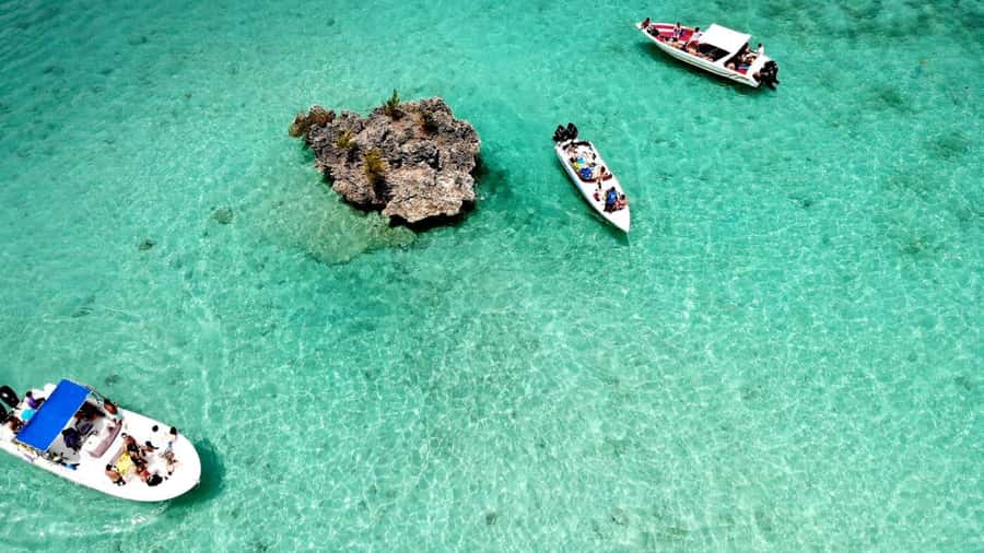 Mauritius: Ocean Swim with Dolphins - A long lunch break on Île aux Bénitiers