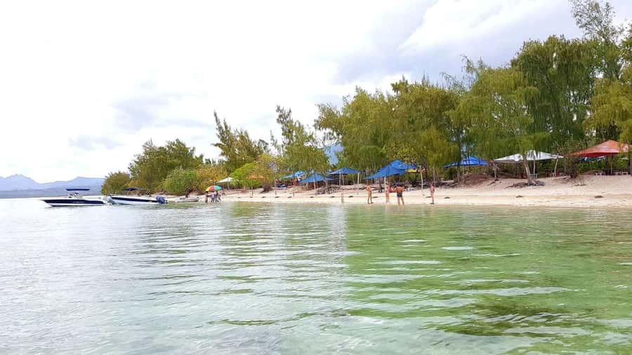 Mauritius: Ocean Swim with Dolphins - Group size, comfort, and the speedboat reality