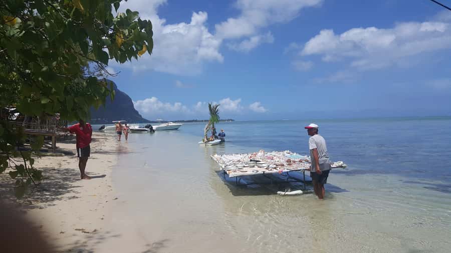 Mauritius: Ocean Swim with Dolphins - Who will enjoy this Mauritius day trip