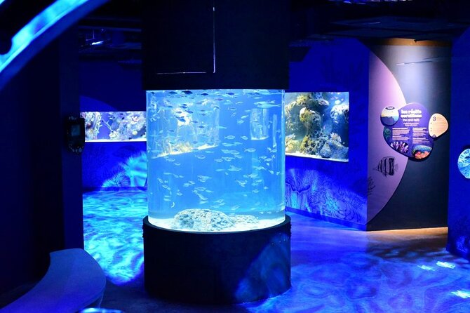 Mauritius Odysseo Oceanarium in Port Louis - A large oceanarium with a local point of view