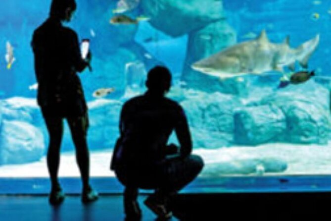 Mauritius Odysseo Oceanarium in Port Louis - Education about pollution and ocean protection