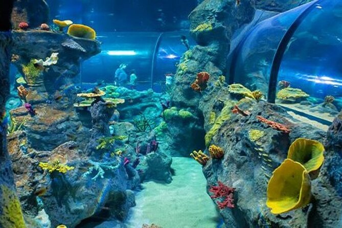 Mauritius Odysseo Oceanarium in Port Louis - How long you should allow