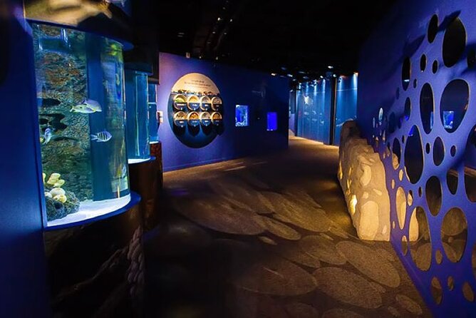 Mauritius Odysseo Oceanarium in Port Louis - The central tank and underwater tunnel
