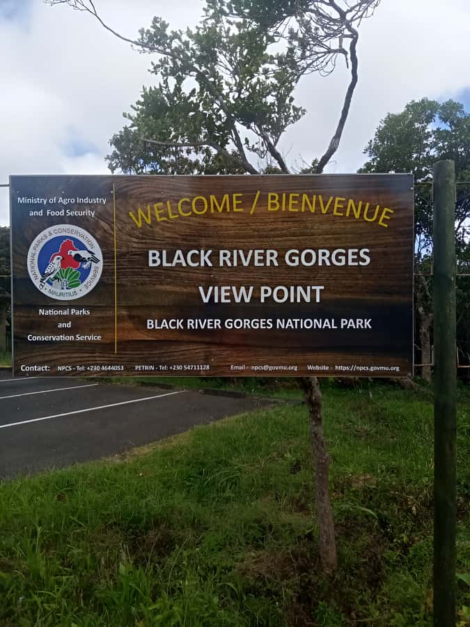 Mauritius: Piton de la Petite Rivière Noire Guided Hike - Key points to know before you book