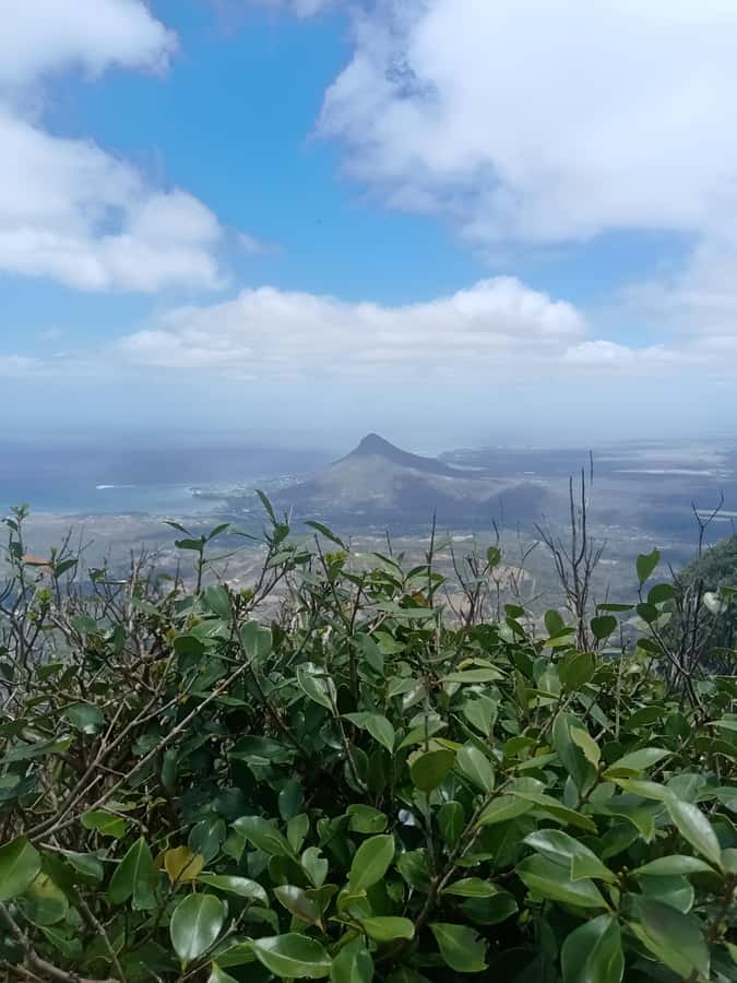 Mauritius: Piton de la Petite Rivière Noire Guided Hike - What the uphill track feels like