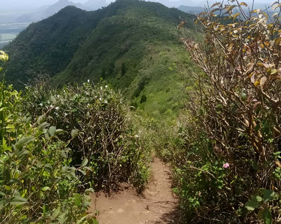 Mauritius: Piton de la Petite Rivière Noire Guided Hike - Views toward the western coast and Le Morne Brabant