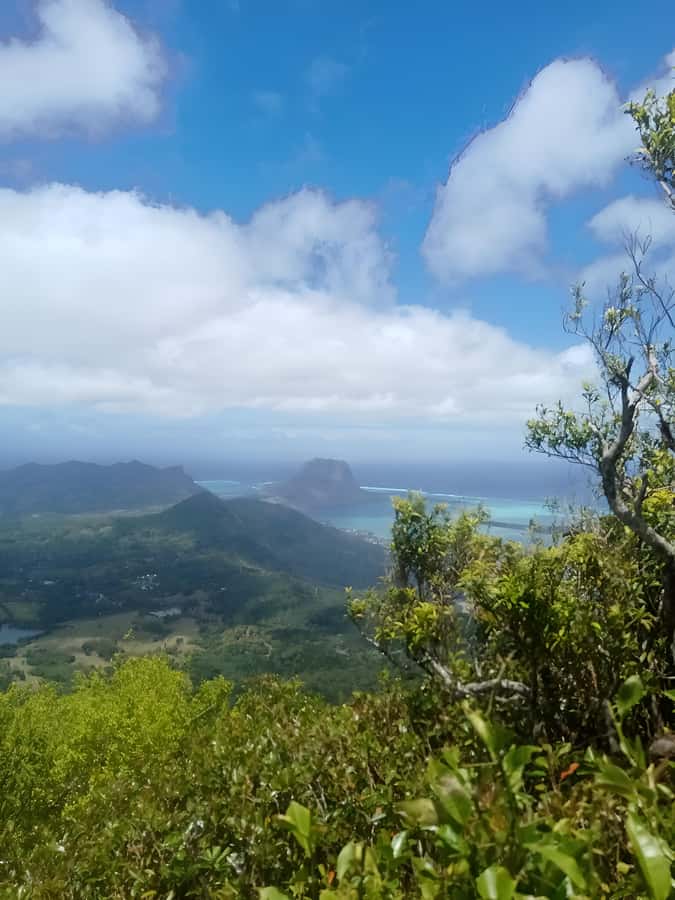 Mauritius: Piton de la Petite Rivière Noire Guided Hike - Plaine Champagne Viewpoint is the practical starting point