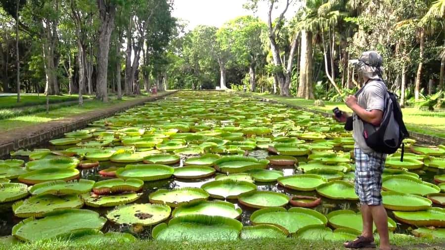 Mauritius: Port Louis and Northern Highlights Full-Day Trip - Key points at a glance